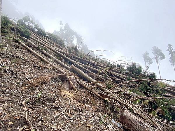 20221005 民都有山縱走西高橋山下石鹿古道