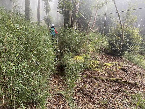 20221005 民都有山縱走西高橋山下石鹿古道