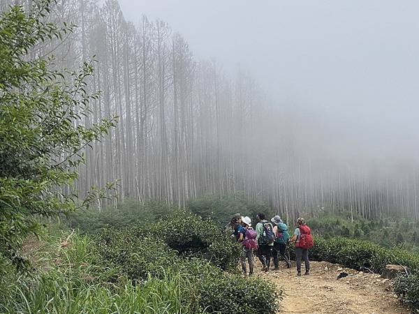 20221005 民都有山縱走西高橋山下石鹿古道