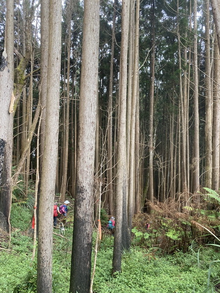 20221005 民都有山縱走西高橋山下石鹿古道