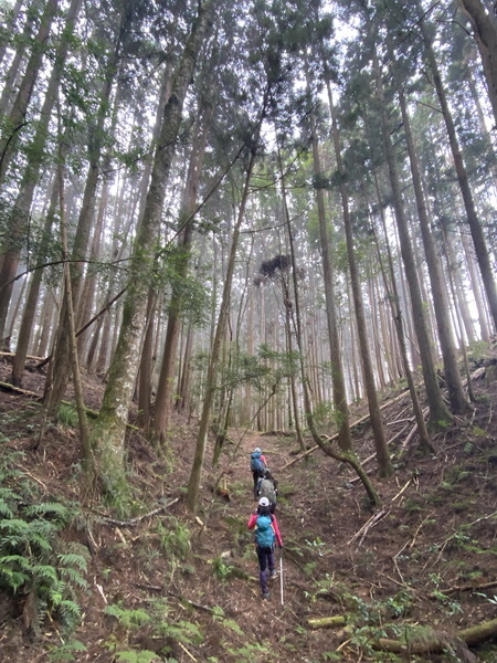 20221005 民都有山縱走西高橋山下石鹿古道