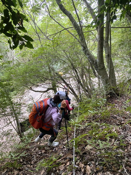 20221005 民都有山縱走西高橋山下石鹿古道