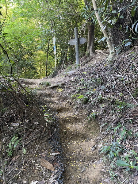 20230621 追憶蘭潭後山第一代步道