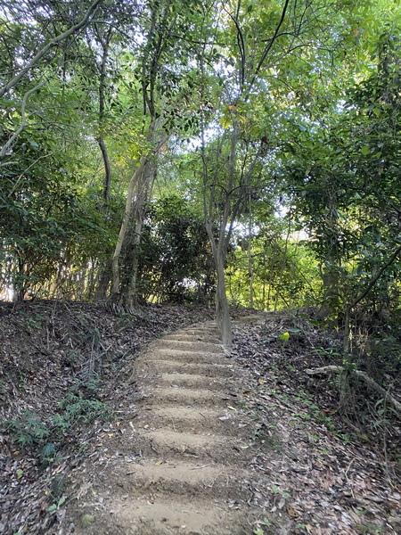 20230621 追憶蘭潭後山第一代步道