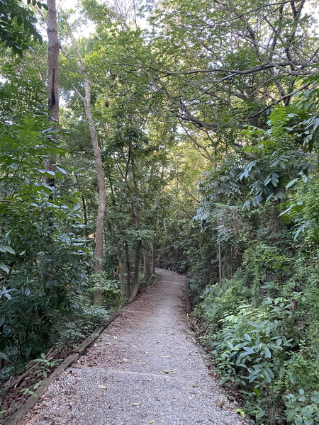 20230621 追憶蘭潭後山第一代步道