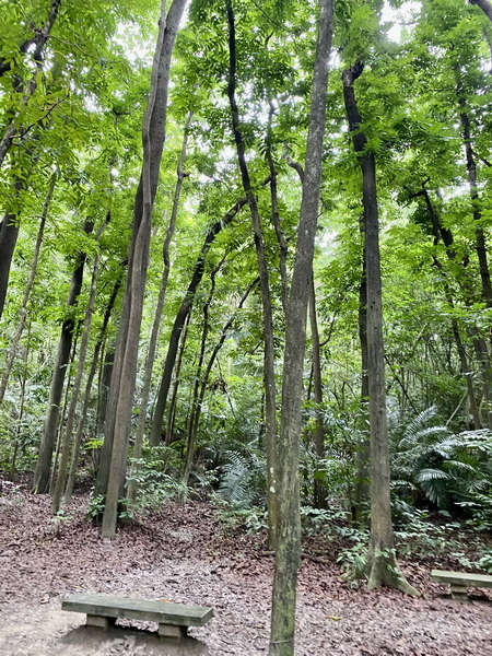 20230622 蘭潭後山步道大環繞