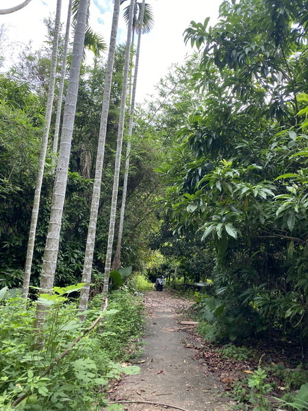 20230622 蘭潭後山步道大環繞