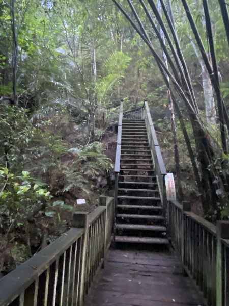 20230724 蘭潭逍遙 旭日東昇 浪漫步道 浪裡白條