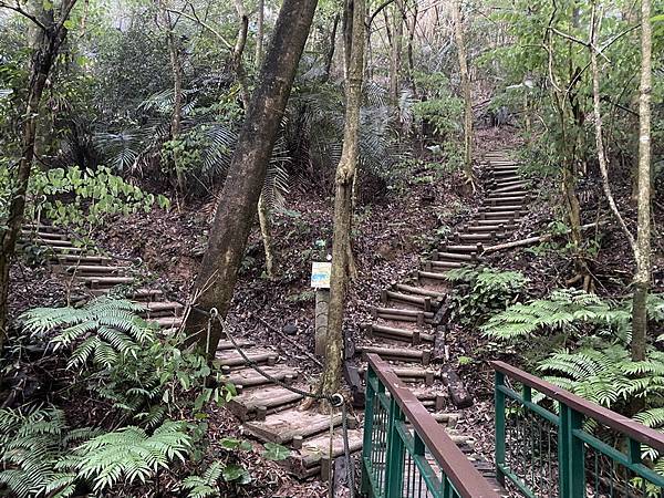 20230724 蘭潭逍遙 旭日東昇 浪漫步道 浪裡白條