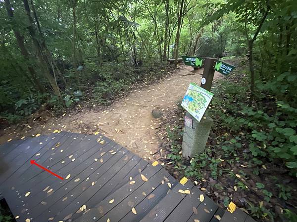 20230724 蘭潭逍遙 旭日東昇 浪漫步道 浪裡白條