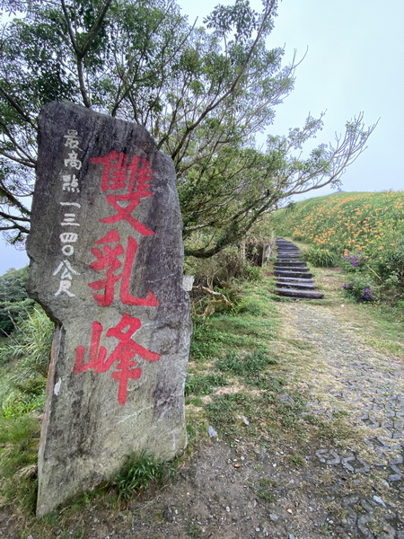 20230819~20 花東金針山，順遊巴塱衛山、山里車站、