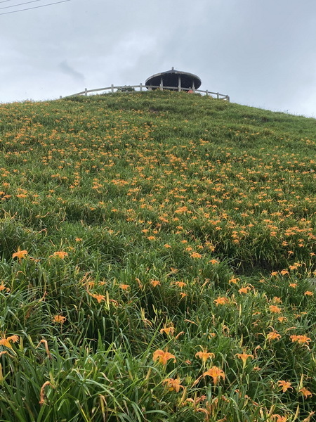 20230819~20 花東金針山，順遊巴塱衛山、山里車站、