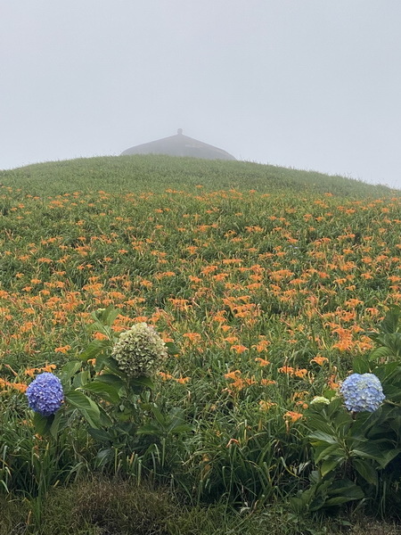 20230819~20 花東金針山，順遊巴塱衛山、山里車站、