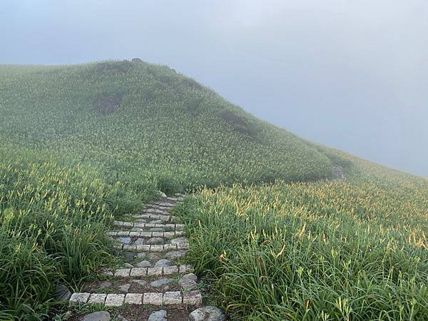 20230819~20 花東金針山，順遊巴塱衛山、山里車站、