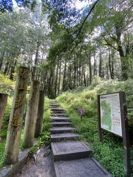 20230822 大塔百登17刷：漫遊塔山月台 仰視塔山奇岩