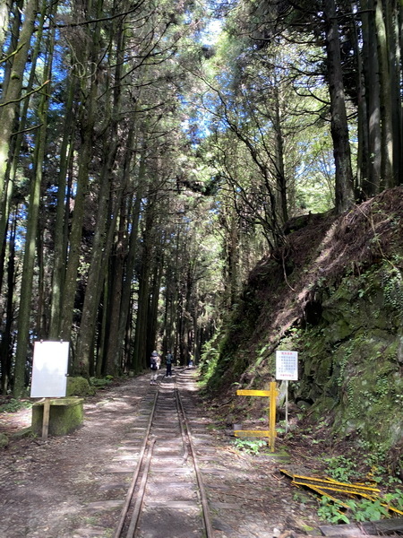 20230822 大塔百登17刷：漫遊塔山月台 仰視塔山奇岩