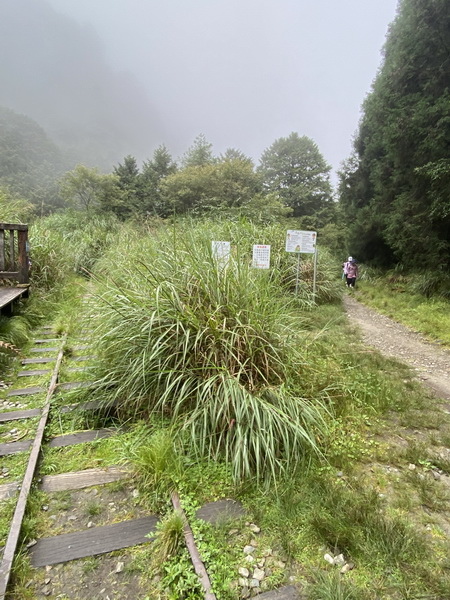 20230822 大塔百登17刷：漫遊塔山月台 仰視塔山奇岩