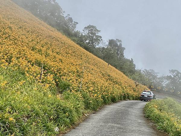 20230826~27 花東金針山，順遊巴塱衛山、金龍湖、大