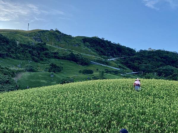 20230826~27 花東金針山，順遊巴塱衛山、金龍湖、大