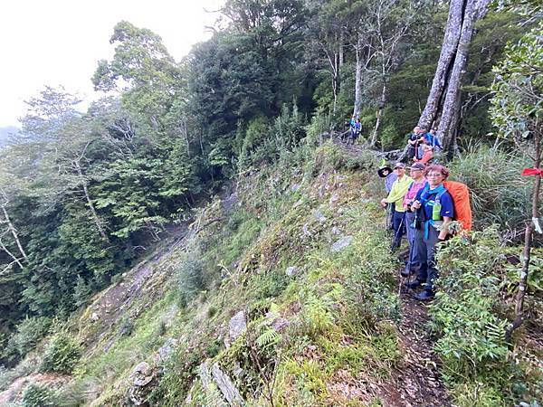 20230917 觀霧（樂山林道8.3K）縱走雪見遊憩區