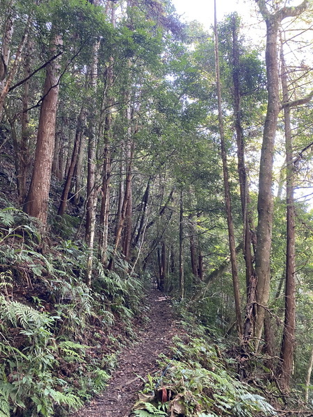 20230916 民都有山，順遊清泉環繞