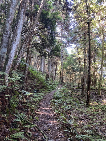 20230916 民都有山，順遊清泉環繞