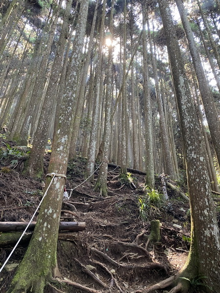 20230916 民都有山，順遊清泉環繞