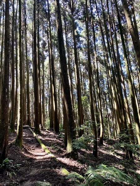 20230916 民都有山，順遊清泉環繞