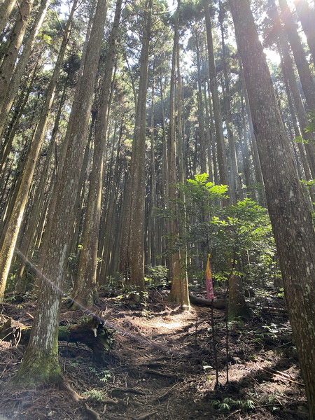 20230916 民都有山，順遊清泉環繞