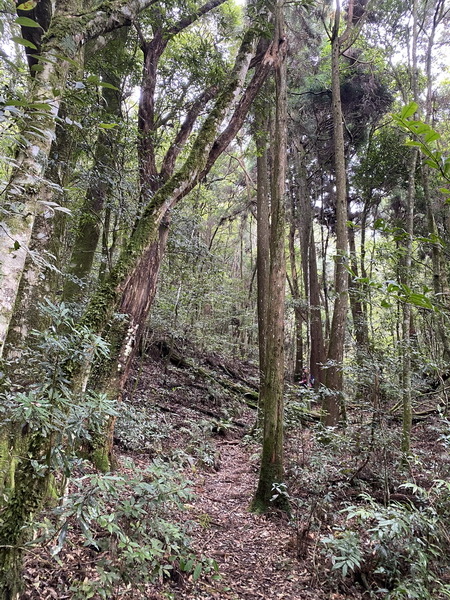 20230916 民都有山，順遊清泉環繞