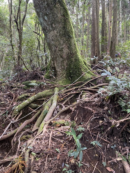 20230916 民都有山，順遊清泉環繞