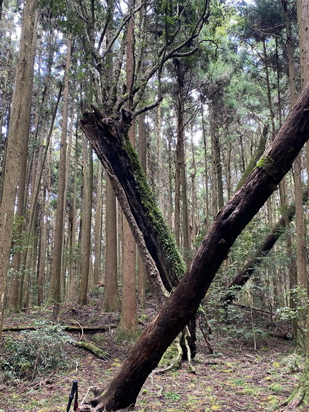 20230916 民都有山，順遊清泉環繞