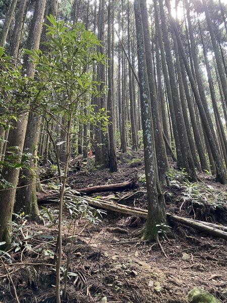 20230916 民都有山，順遊清泉環繞