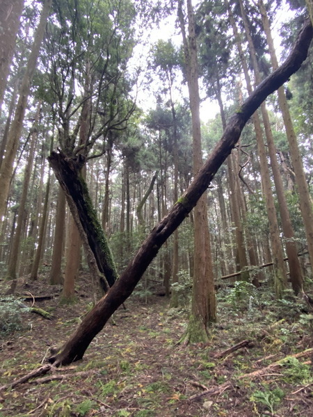 20230916 民都有山，順遊清泉環繞