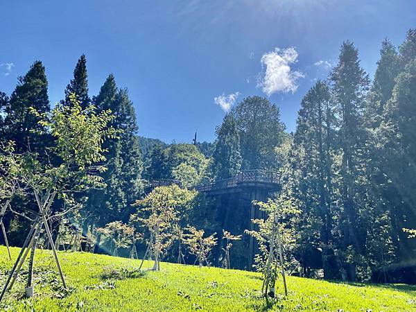 20230919 大塔百登21刷：塔山奇岩 神怡流瀑 香林拱