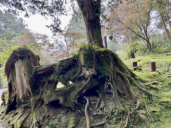 20230919 大塔百登21刷：塔山奇岩 神怡流瀑 香林拱