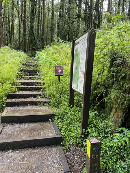 20230924 大塔百登22刷：大塔山、神阿古道逆行