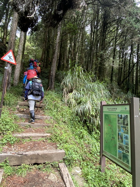 20230924 大塔百登22刷：大塔山、神阿古道逆行