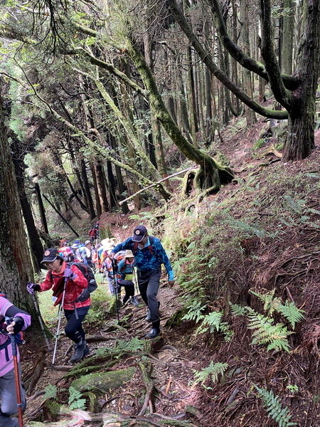 20230924 大塔百登22刷：大塔山、神阿古道逆行