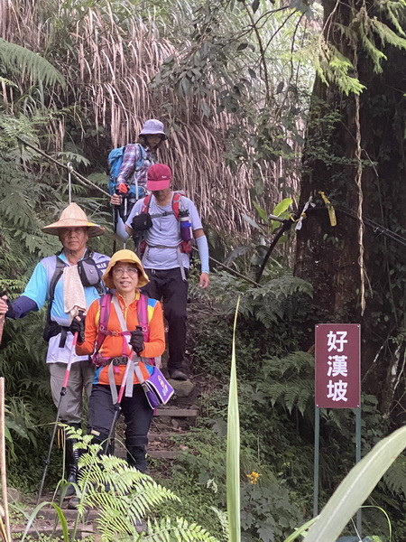 20230924 大塔百登22刷：大塔山、神阿古道逆行