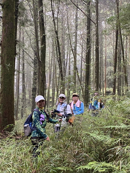 20230926 大塔百登23刷：阿里山四岳