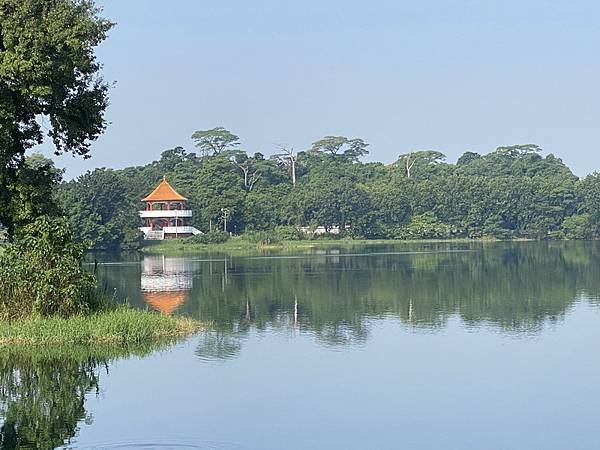 20231012 蘭潭後山步道、民雄森林公園、彌陀映月橋