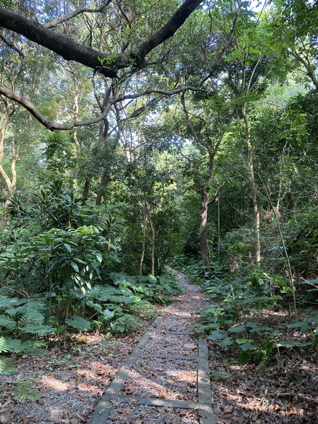 20231012 蘭潭後山步道、民雄森林公園、彌陀映月橋