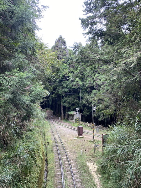 20231018 大塔百登28刷：塔山步道、大塔山