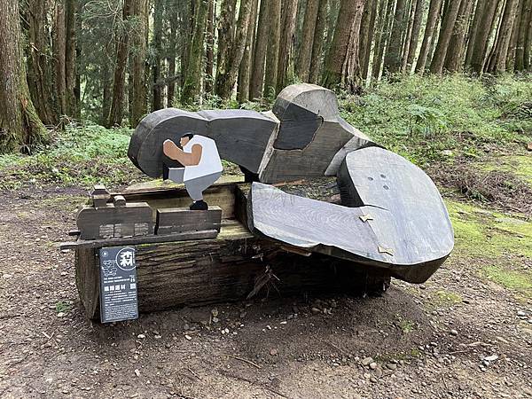 20231018 大塔百登28刷：塔山步道、大塔山