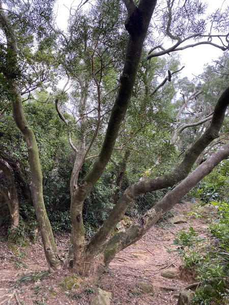 20231021 小三通八閩山海遊01：三進三出太武山