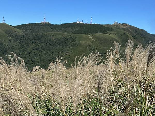 20231104 臺北大縱走第三段，小油坑－風櫃口（芒花季）