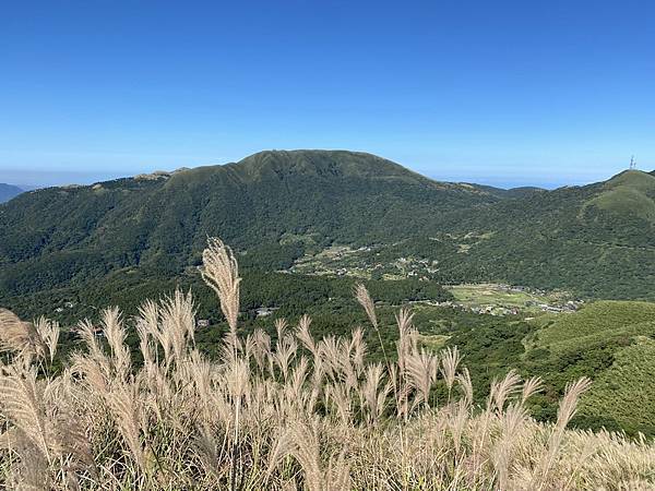 20231104 臺北大縱走第三段，小油坑－風櫃口（芒花季）