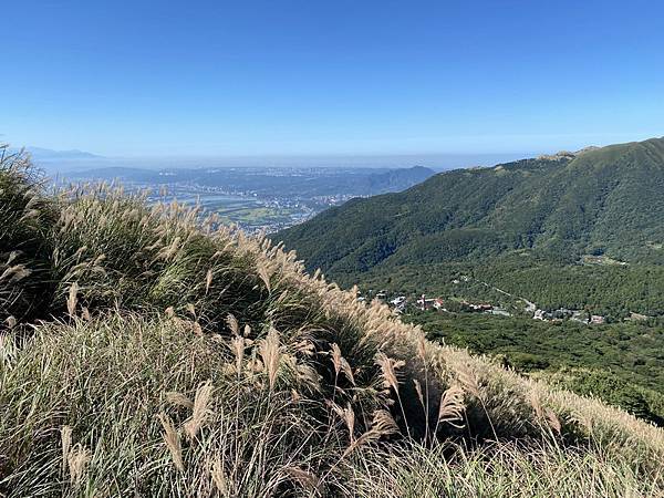 20231104 臺北大縱走第三段，小油坑－風櫃口（芒花季）