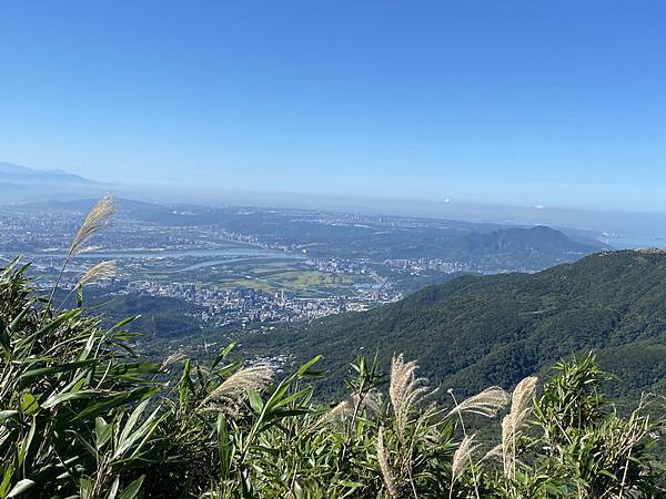 20231104 臺北大縱走第三段，小油坑－風櫃口（芒花季）